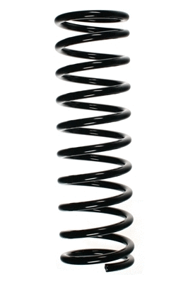 Suspension Spring (48100)
