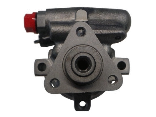 Hydraulic Pump, steering (53976)