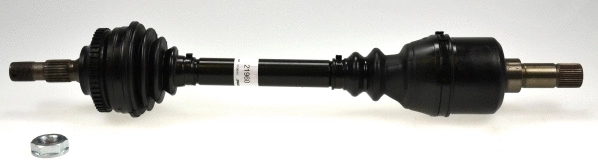 Drive Shaft (21960)