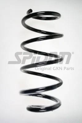 Suspension Spring (56180)
