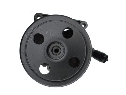 Hydraulic Pump, steering (54417)