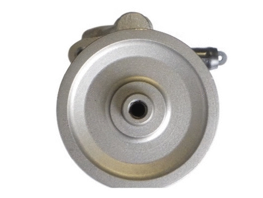 Hydraulic Pump, steering (53799)