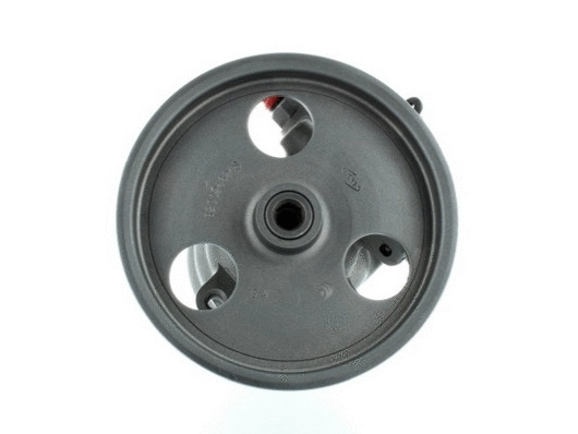 Hydraulic Pump, steering (54299)