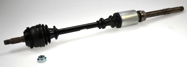 Drive Shaft (21698)