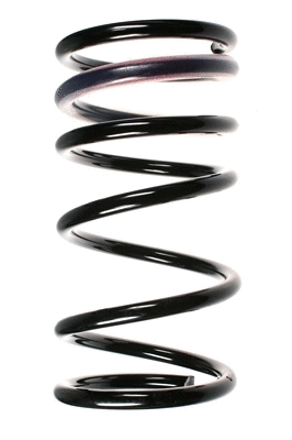 Suspension Spring (55321)