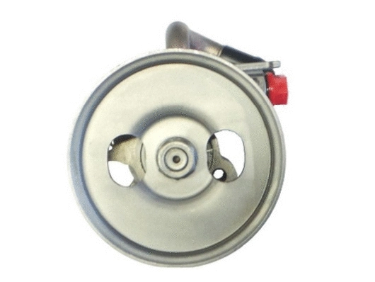 Hydraulic Pump, steering (54378)