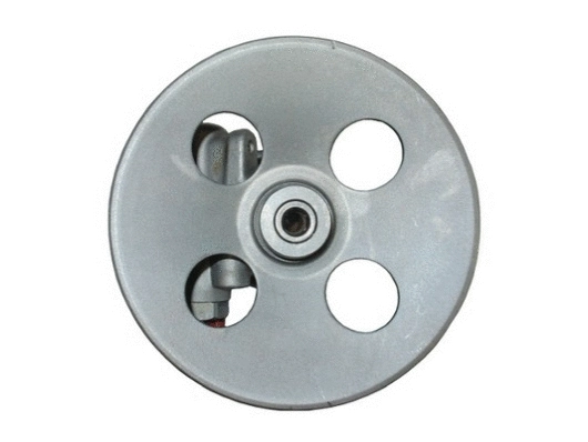 Hydraulic Pump, steering (54432)