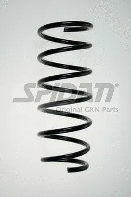 Suspension Spring (85801)