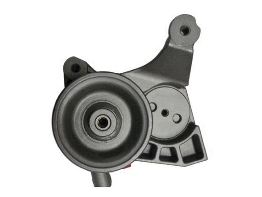 Hydraulic Pump, steering (54363)