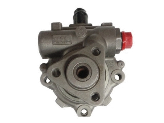 Hydraulic Pump, steering (54446)