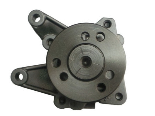 Hydraulic Pump, steering (54126)
