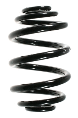 Suspension Spring (55119)