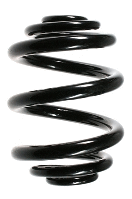 Suspension Spring (49695)