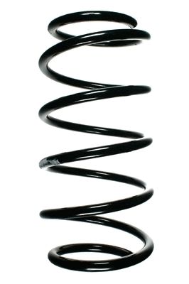 Suspension Spring (48373)