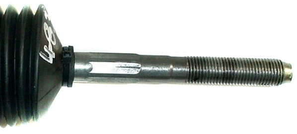 Steering Gear