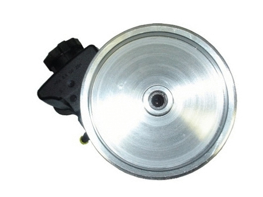 Hydraulic Pump, steering (54298)