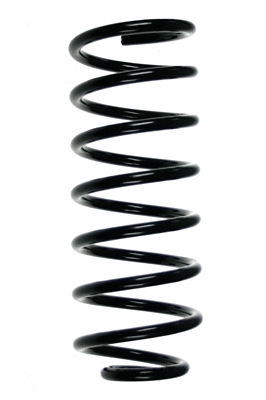 Suspension Spring (48210)