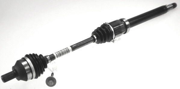 Drive Shaft (24853)