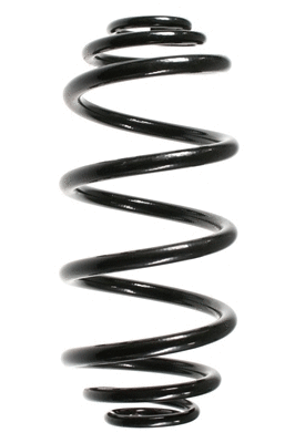 Suspension Spring (55992)