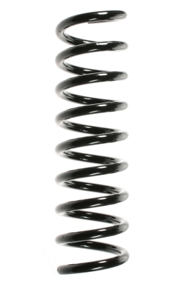 Suspension Spring (55738)