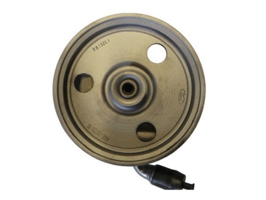 Hydraulic Pump, steering (54384)