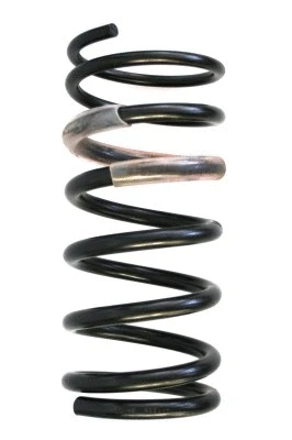 Suspension Spring (48609)