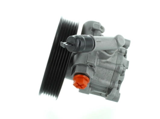Hydraulic Pump, steering (GKNY10069)