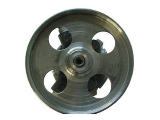 Hydraulic Pump, steering (54173)