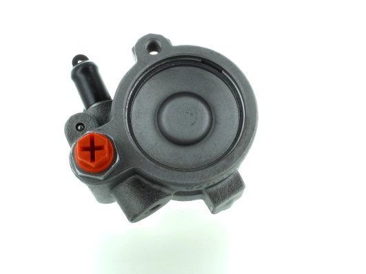 Hydraulic Pump, steering (GKNY10012)