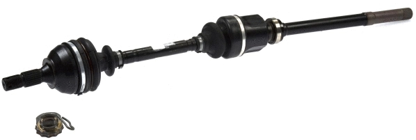 Drive Shaft (21672)