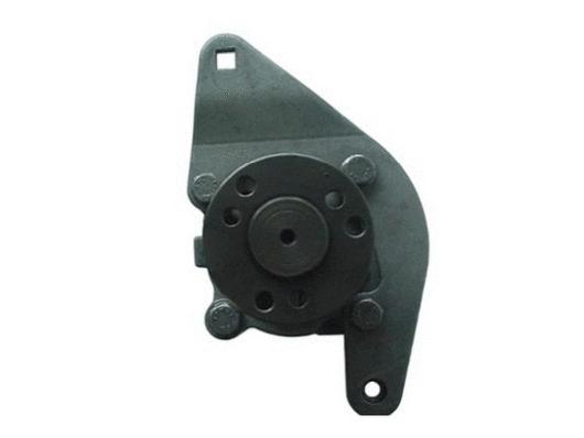 Hydraulic Pump, steering (54087)