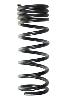 Suspension Spring (48173)