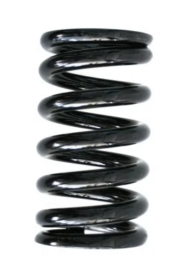 Suspension Spring (55131)