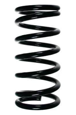 Suspension Spring (48610)