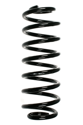Suspension Spring (55100)