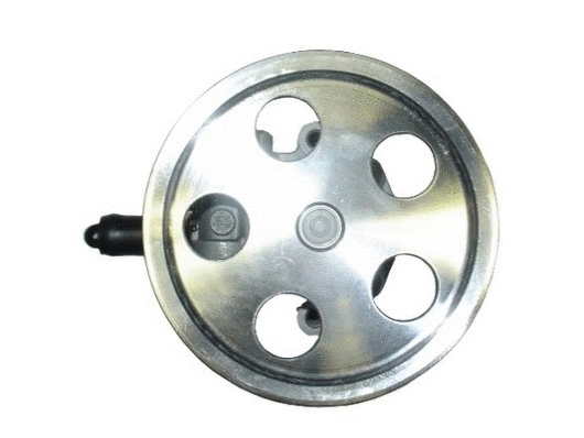 Hydraulic Pump, steering (54409)