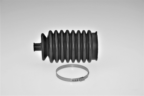 Bellow, steering