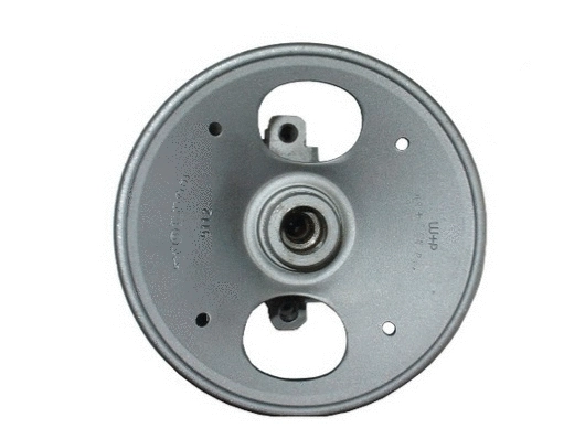 Hydraulic Pump, steering (53516)