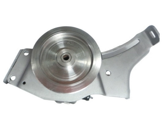Hydraulic Pump, steering (53981)