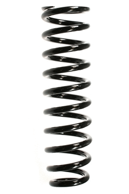 Suspension Spring (55384)