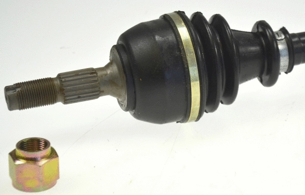 Drive Shaft