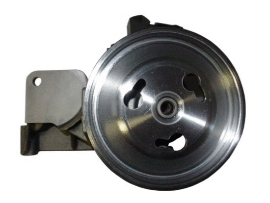 Hydraulic Pump, steering (54174)
