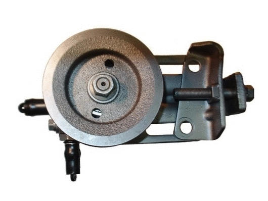 Hydraulic Pump, steering (53768)