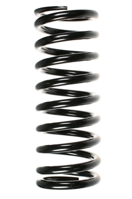 Suspension Spring (48760)