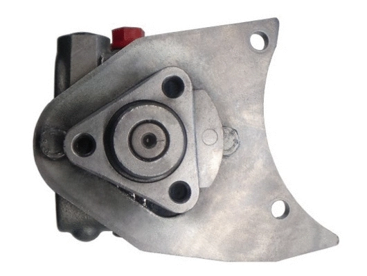 Hydraulic Pump, steering (54016)