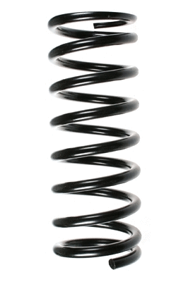 Suspension Spring (48169)
