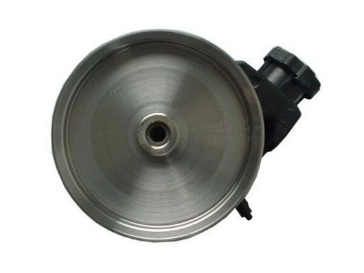 Hydraulic Pump, steering (54399)