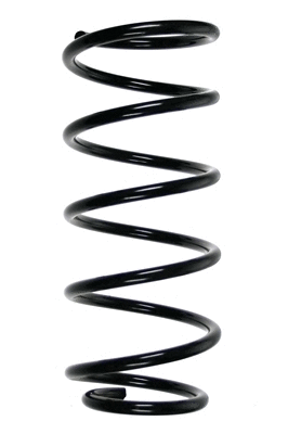 Suspension Spring (48700)
