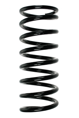 Suspension Spring (48175)