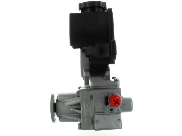 Hydraulic Pump, steering (54032)